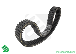 cinghia trasmissione cf 0JWA-055000-10000